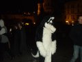 DSCF2843.JPG
